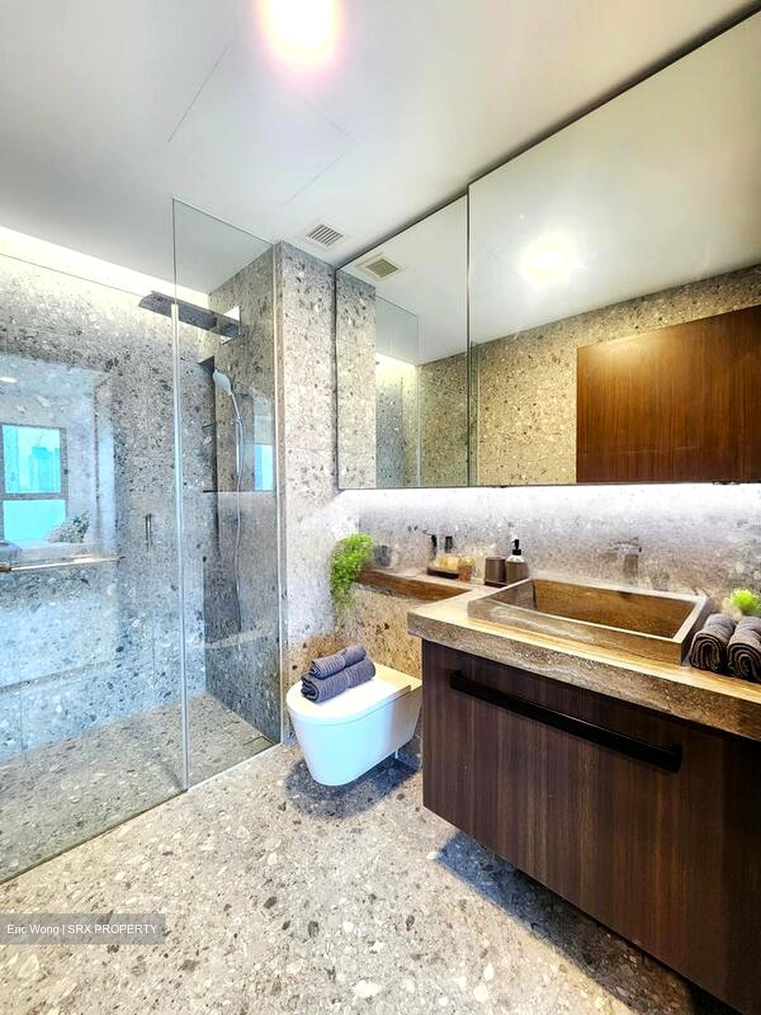 One Pearl Bank (D3), Apartment #459239201